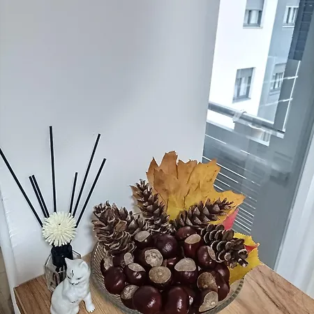 Inkognito Centar Apartamento